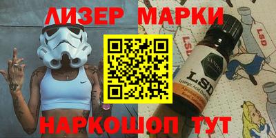 шишки Дубна