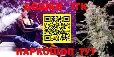 шишки Дубна