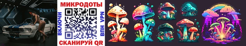 ссылка на мегу ссылка  Петрозаводск  Псилоцибиновые грибы Psilocybe  где купить наркоту 