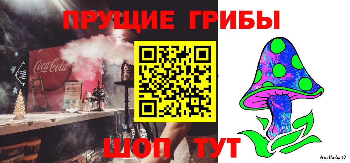 Петрозаводск  Галлюциногенные грибы Cubensis  Галлюциногенные грибы мухоморы  Вход с VPN 