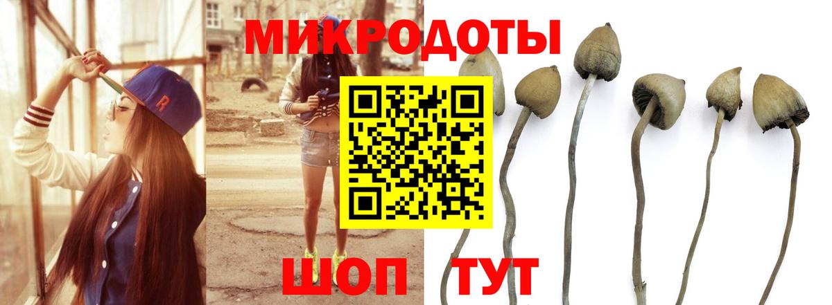 Галлюциногенные грибы Cubensis Петрозаводск